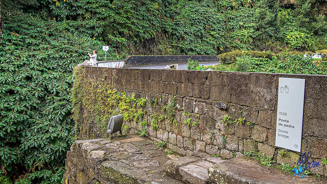2023 - São Miguel - Açores (53664500425)