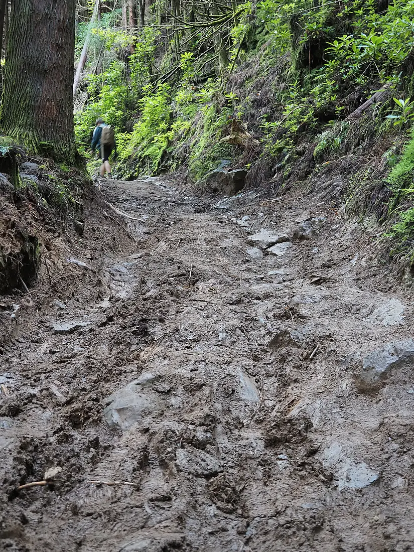 Pico da Vara Path 1