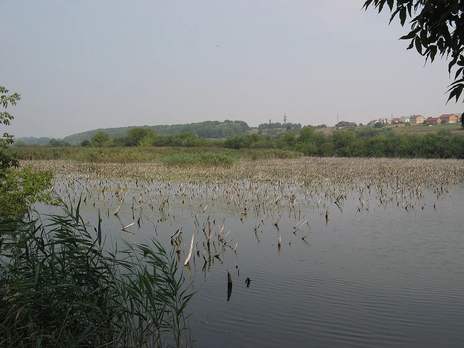 Pidvolochysk sanctuary (2)