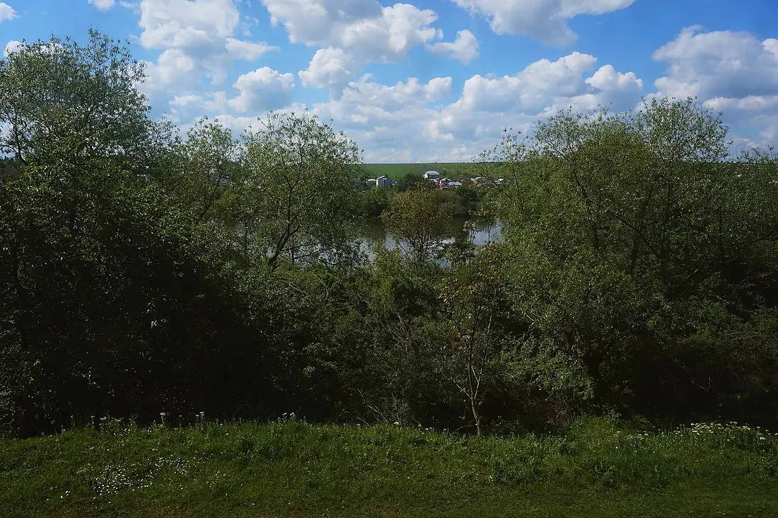 Підволочиський орнітологічний заказник