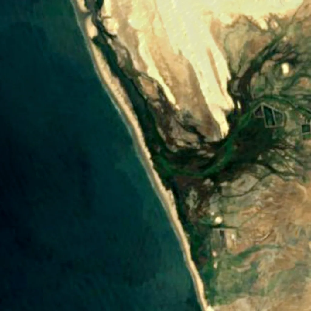 Piura mangroves seen from above (Sentinel-2)