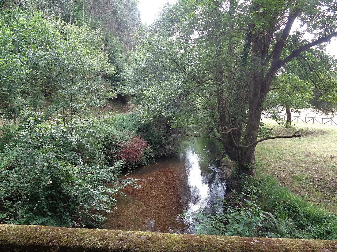 Camino de la Playa de la Concha de Artedo 01