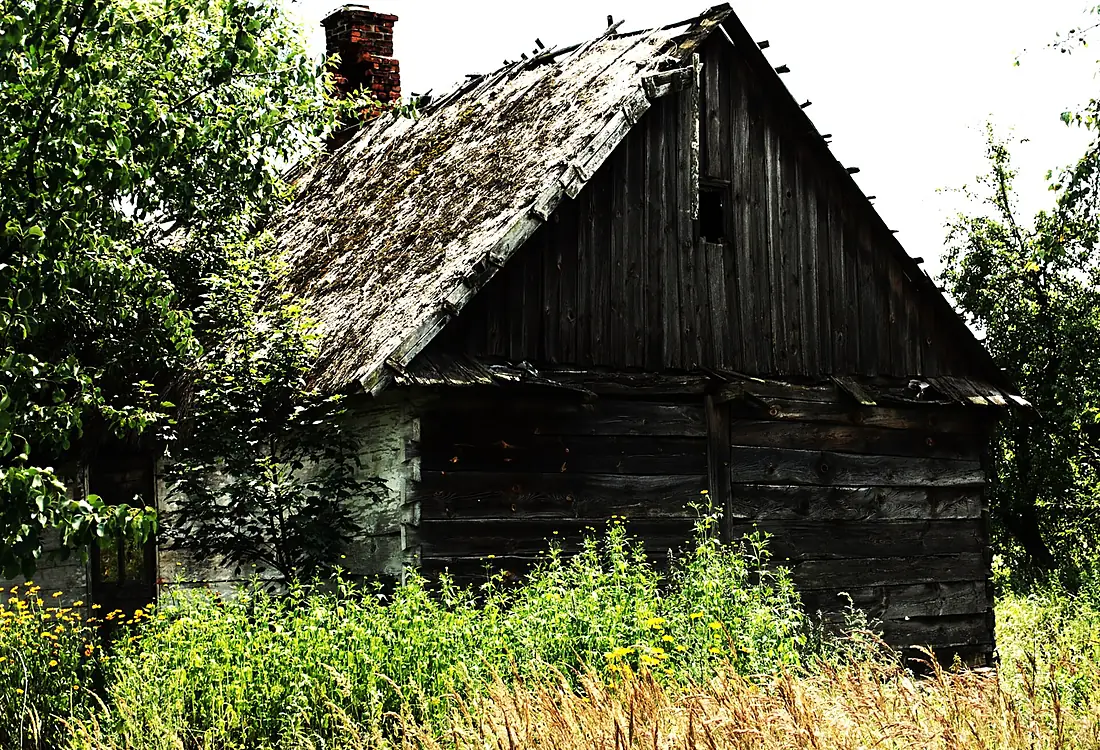 Abandoned cottage