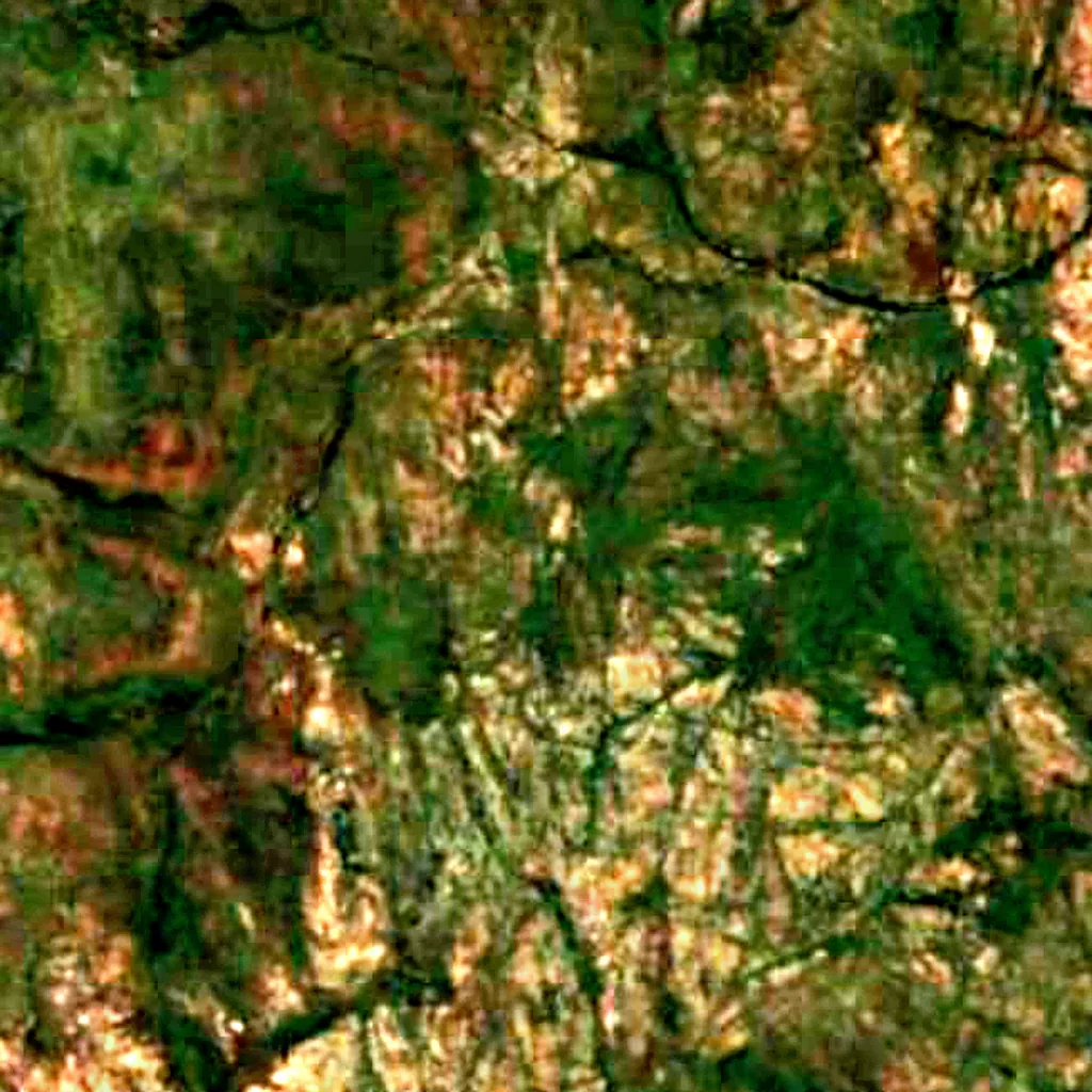 Prince Regent and Mitchell River Important Bird Area visto desde arriba (Sentinel-2)