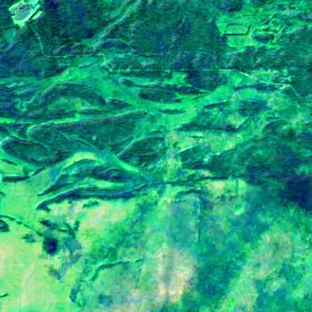 Pripyatsky National Park seen from above (Sentinel-2)