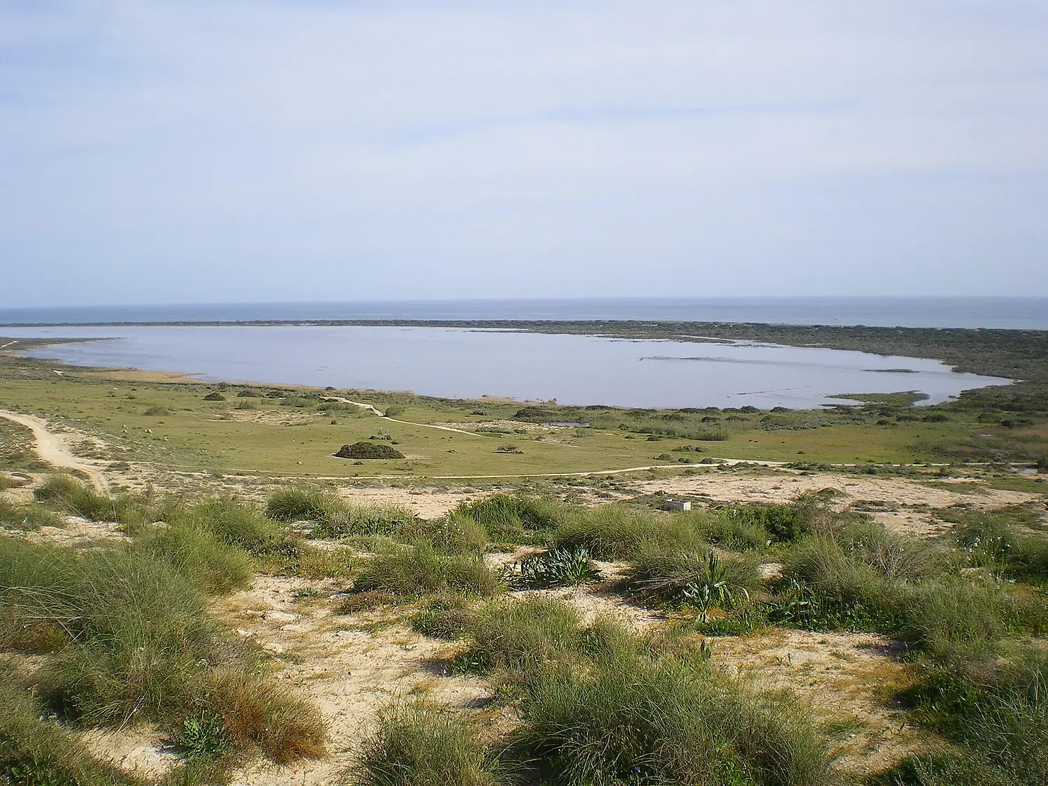 Charcón Reserva Punta Entinas