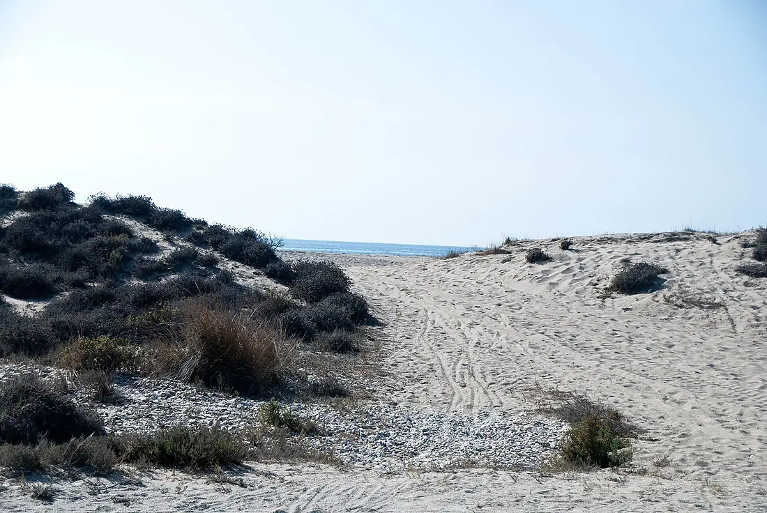 Dunas Punta Entinas