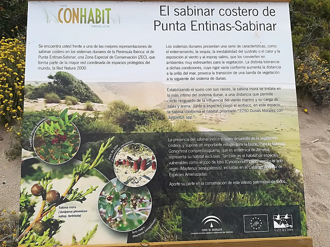 Panel explicativo punta entinas 1