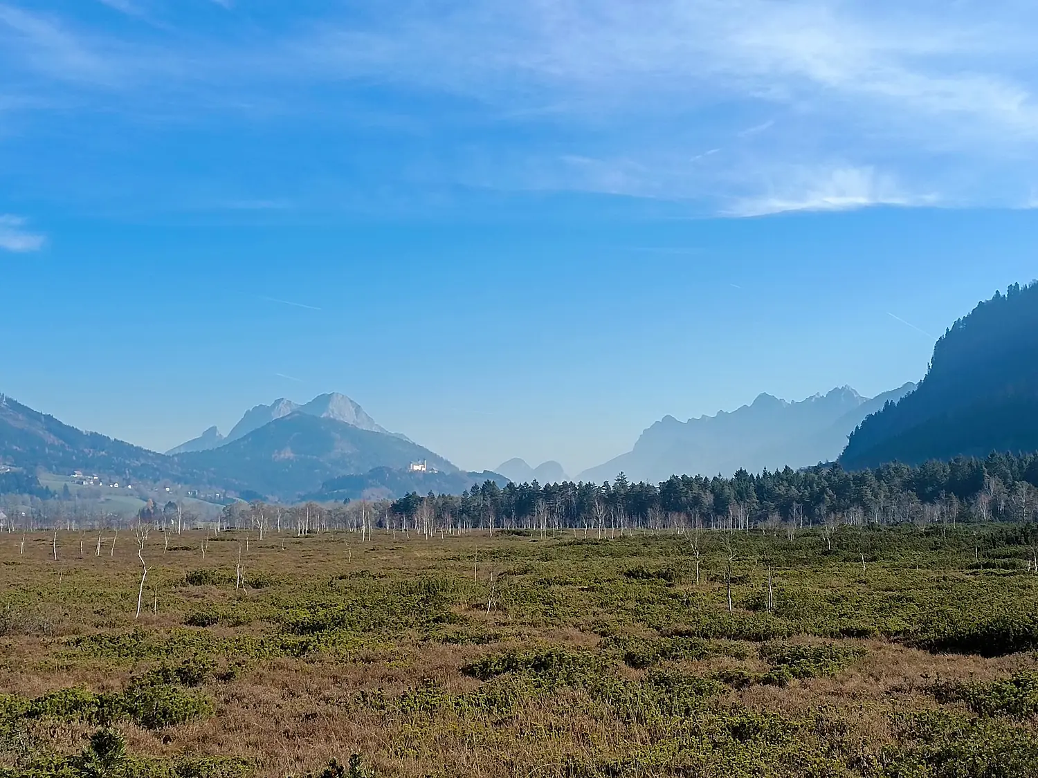 Blick über das Pürgschachen Moor