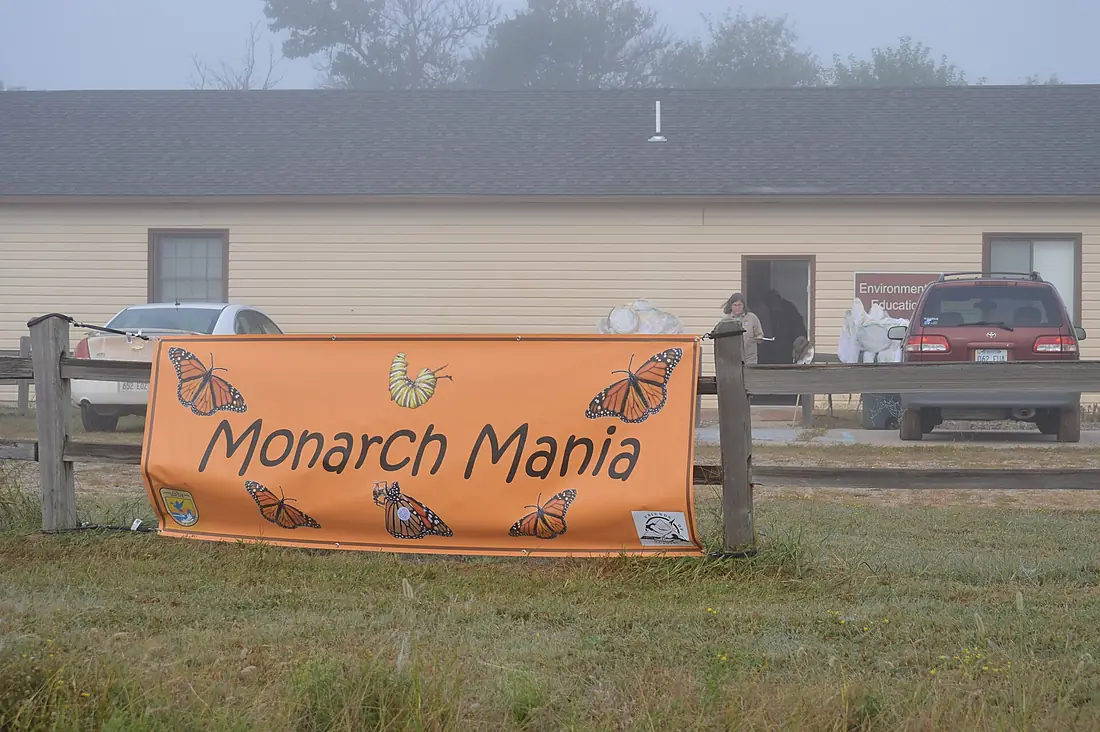 2016 Monarch Mania event at Quivira NWR (29800640400)