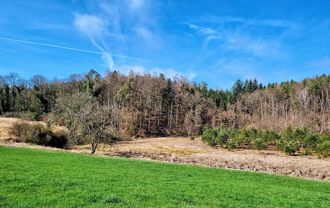 D-BW-KN-Radolfzell am Bodensee-Güttingen - Naturschutzgebiet Durchenbergried 003