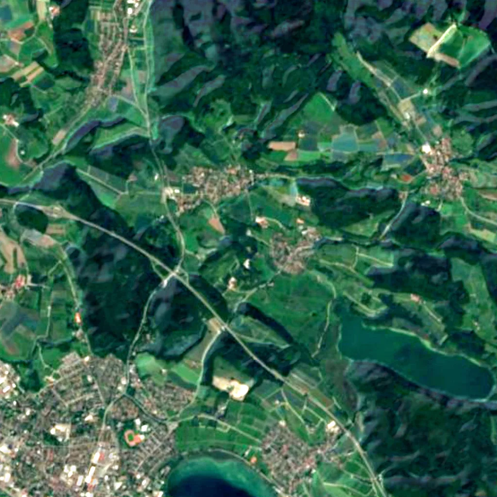 Radolfzell bird observatory seen from above (Sentinel-2)