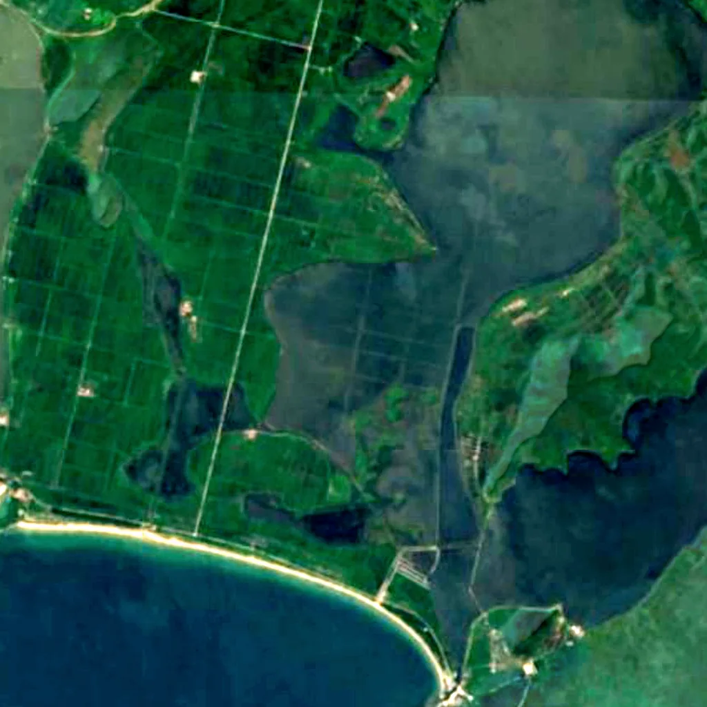 Rason Migratory Bird Reserve seen from above (Sentinel-2)