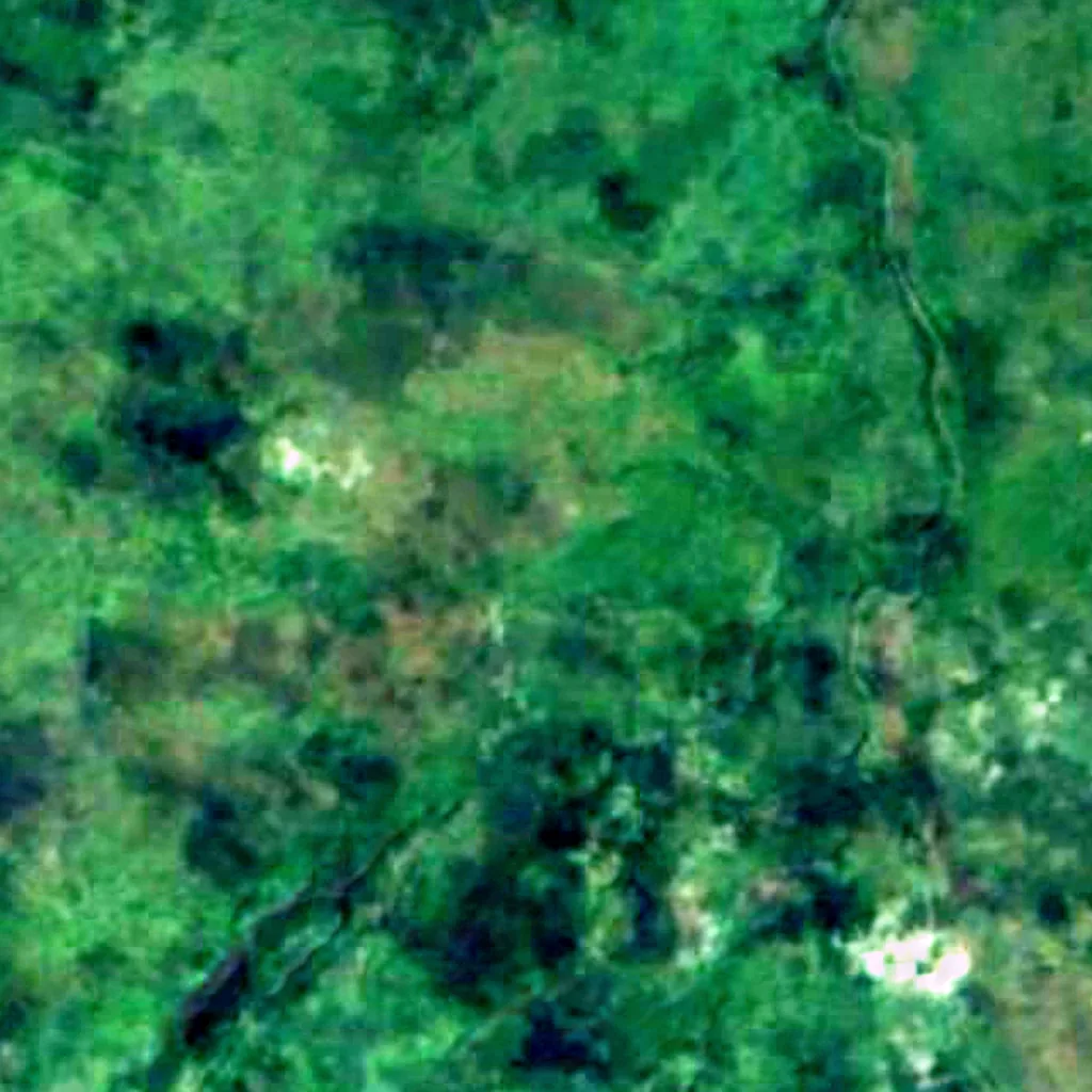 Refugio de Vida Silvestre Los Guatuzos seen from above (Sentinel-2)