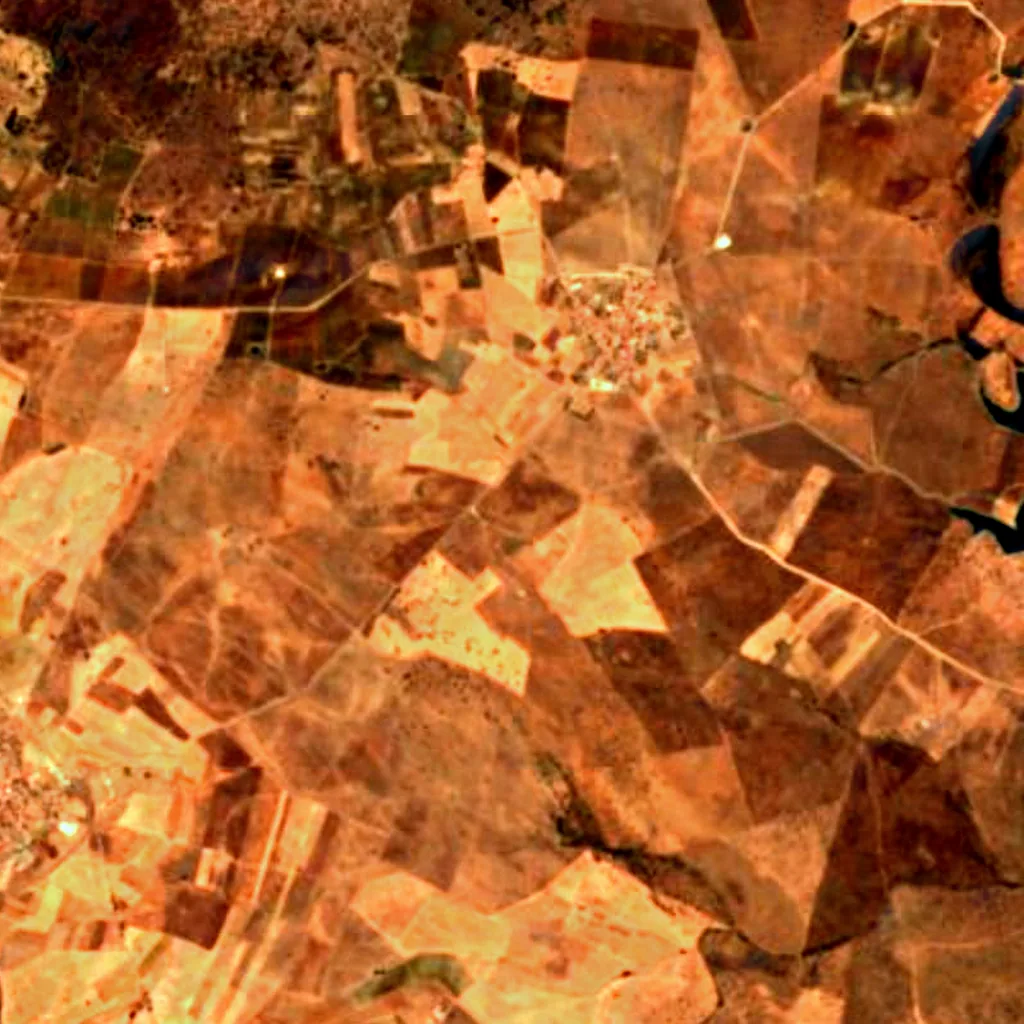 Reguengos seen from above (Sentinel-2)