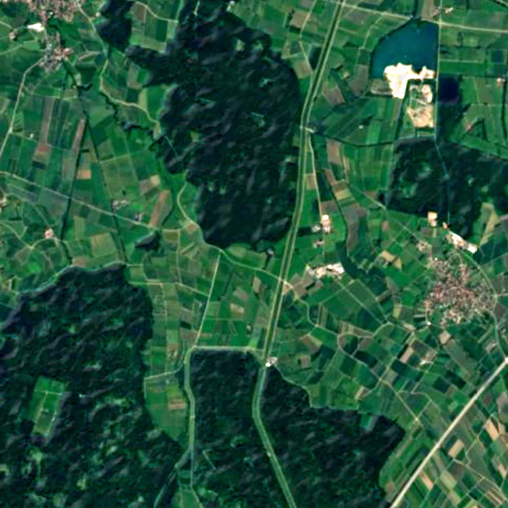Renchniederung seen from above (Sentinel-2)