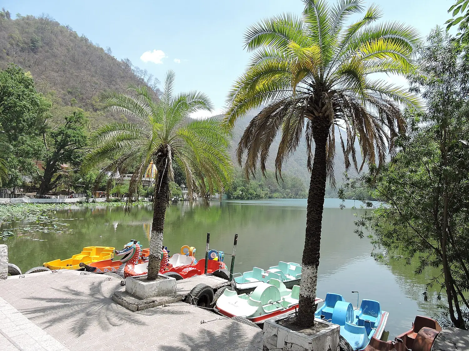 Renuka Lake, Himachal Pradesh