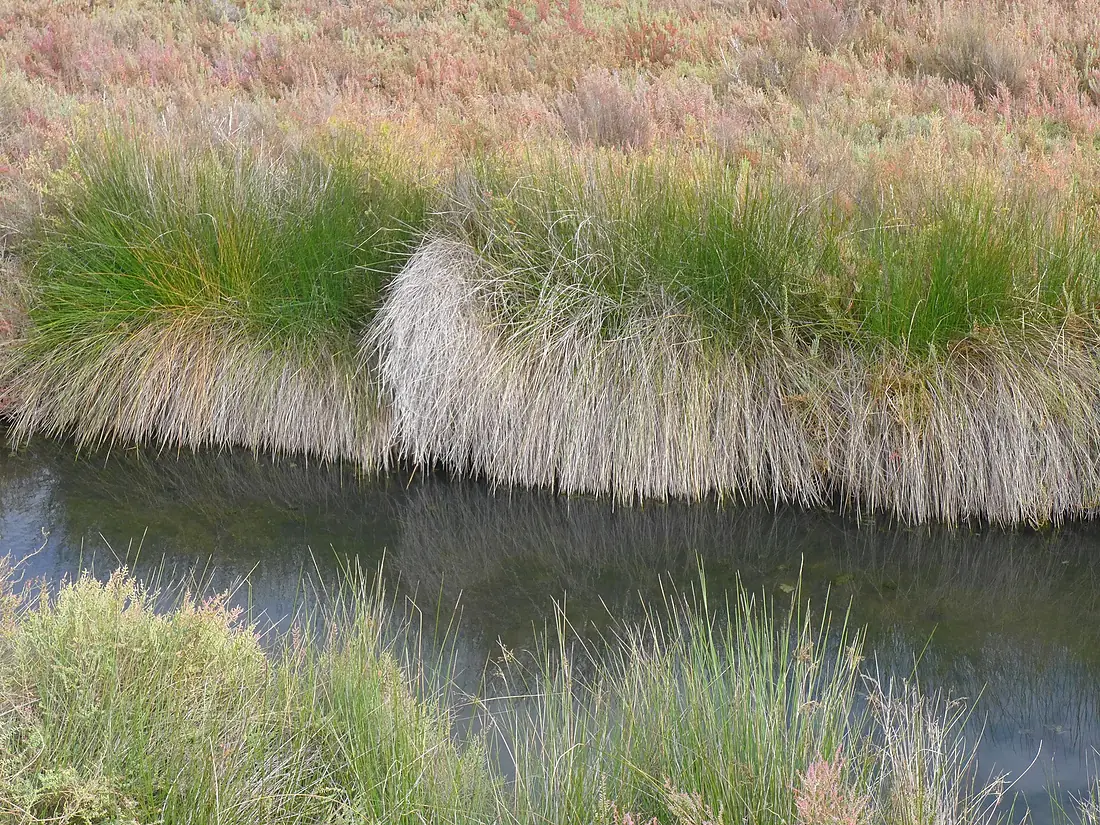 AlvorNatureReserveOctober2015 (45)