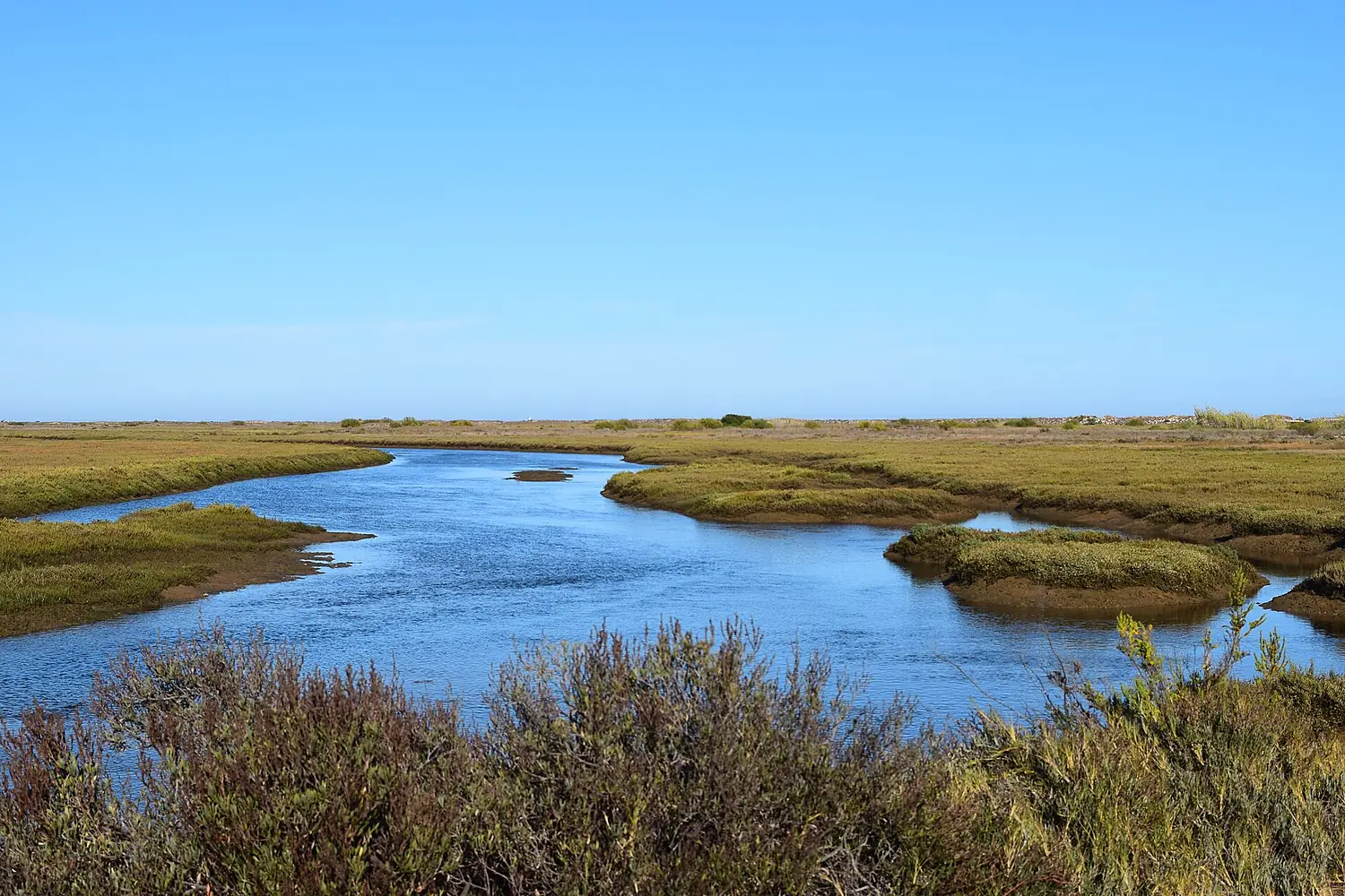 Ria Formosa 9