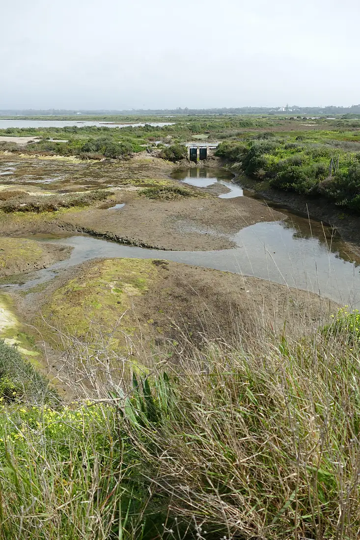 Ria Formosa seen from Ludo Trail 05