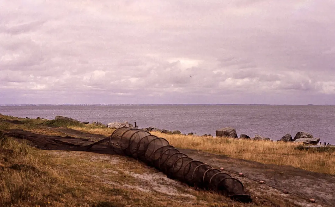 074DK Ringkøbing Fjord (14467488850)