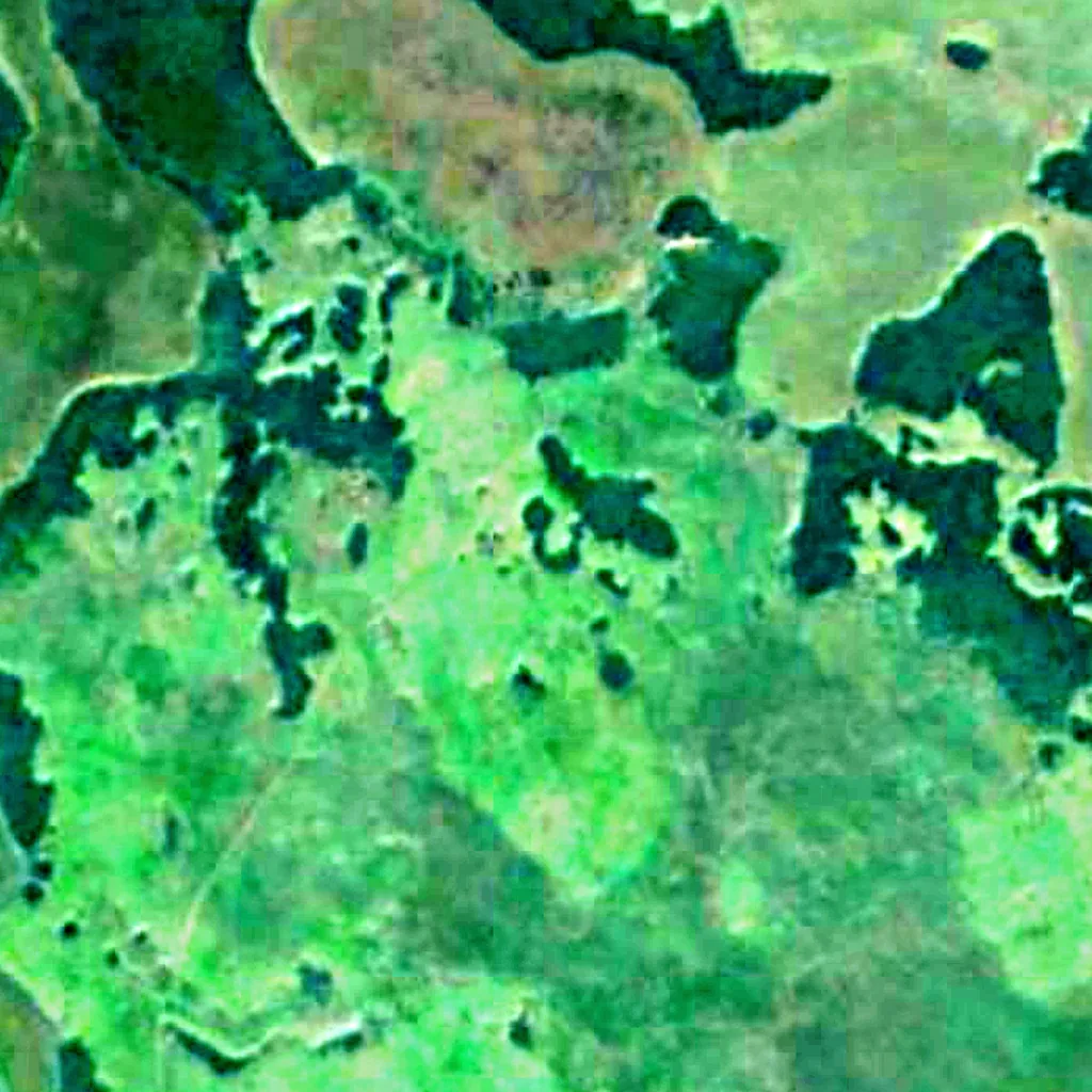 Parc national Río Pilcomayo vu d'en haut (Sentinel-2)