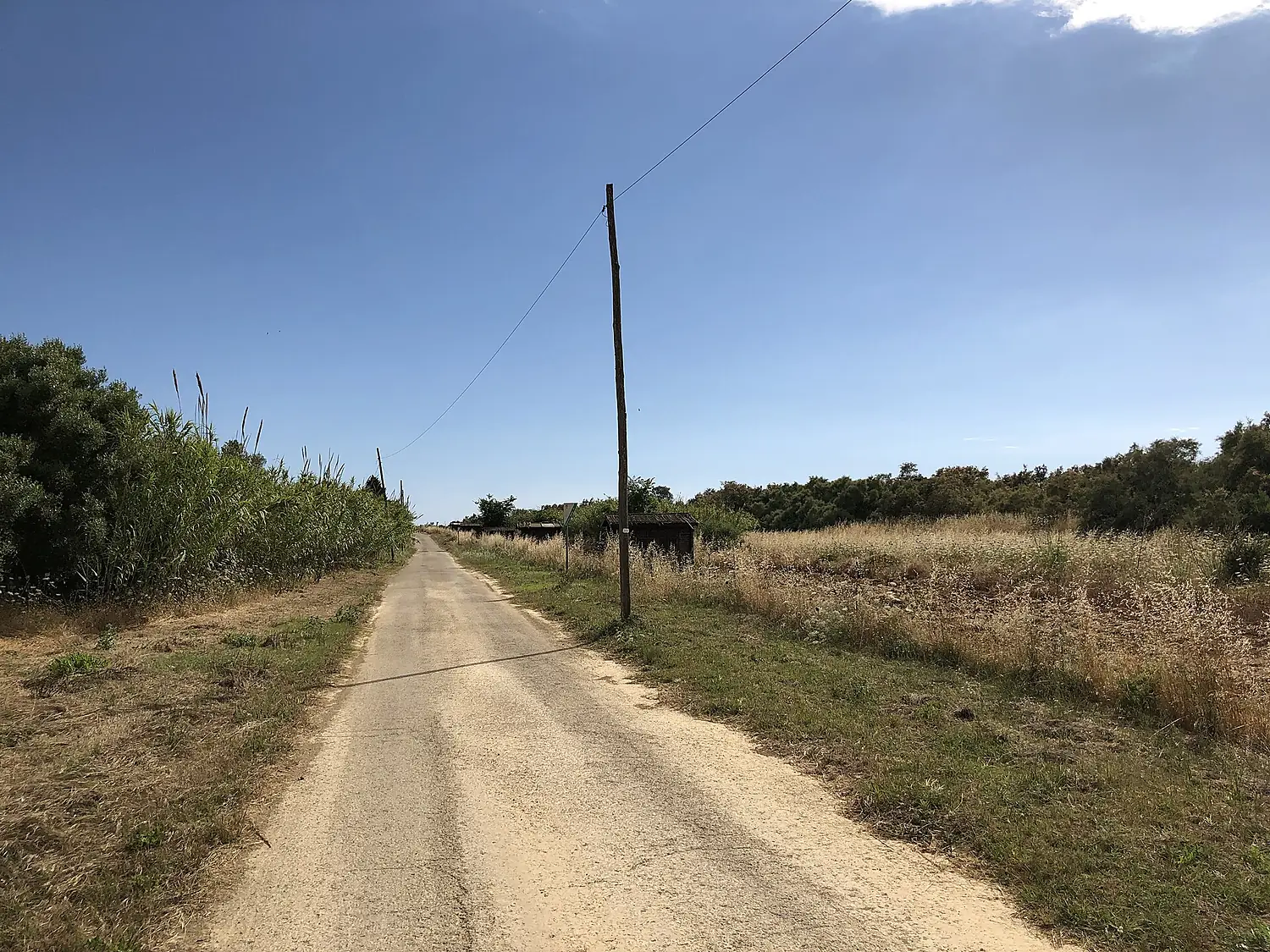 Riserva biviere di Gela 01