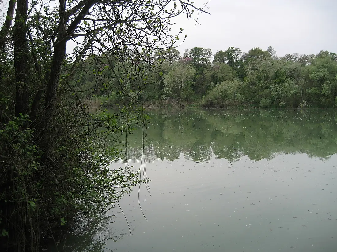 Fiume Tevere a Torrita Tiberina