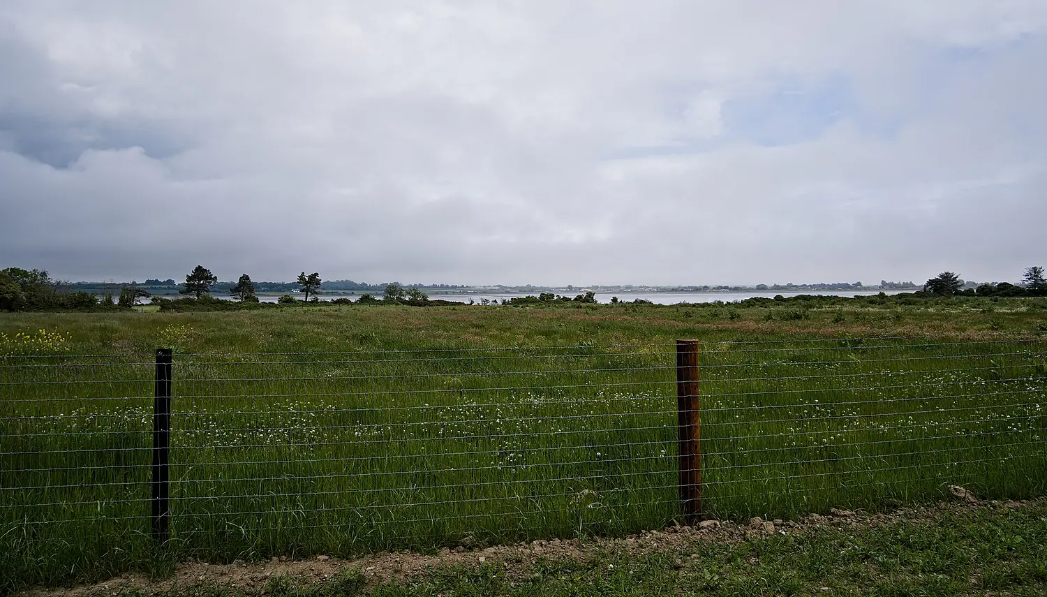 View of Rogerstown Estuary