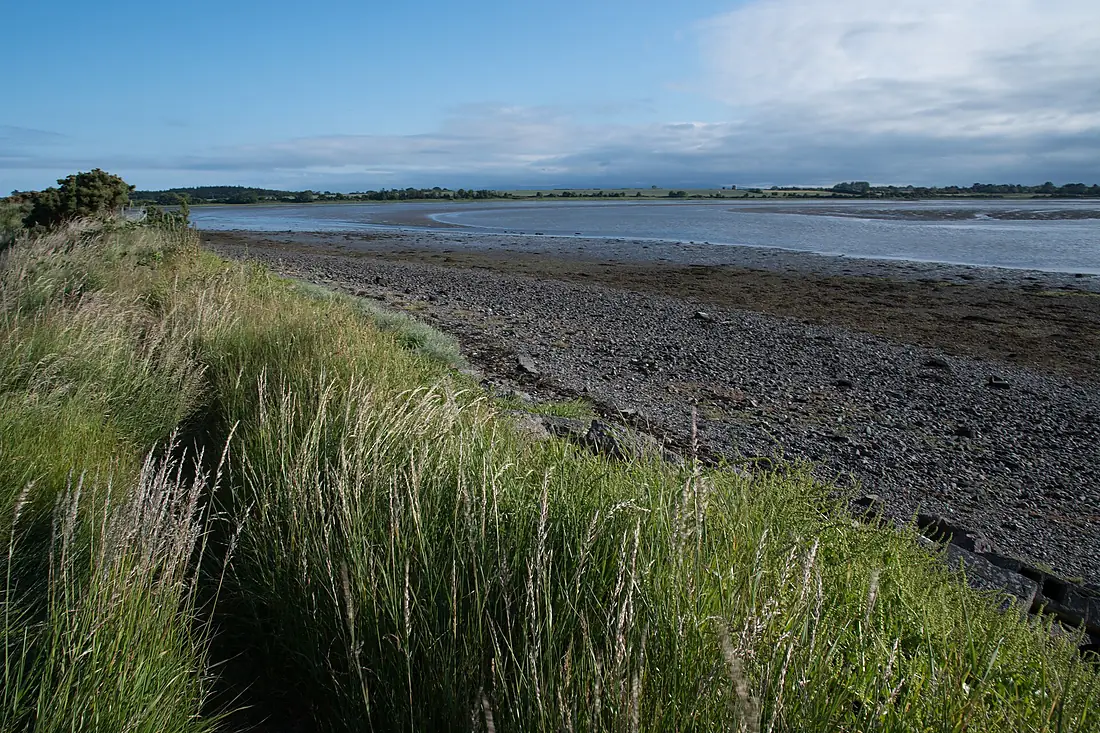 Rogerstown Estuary-1