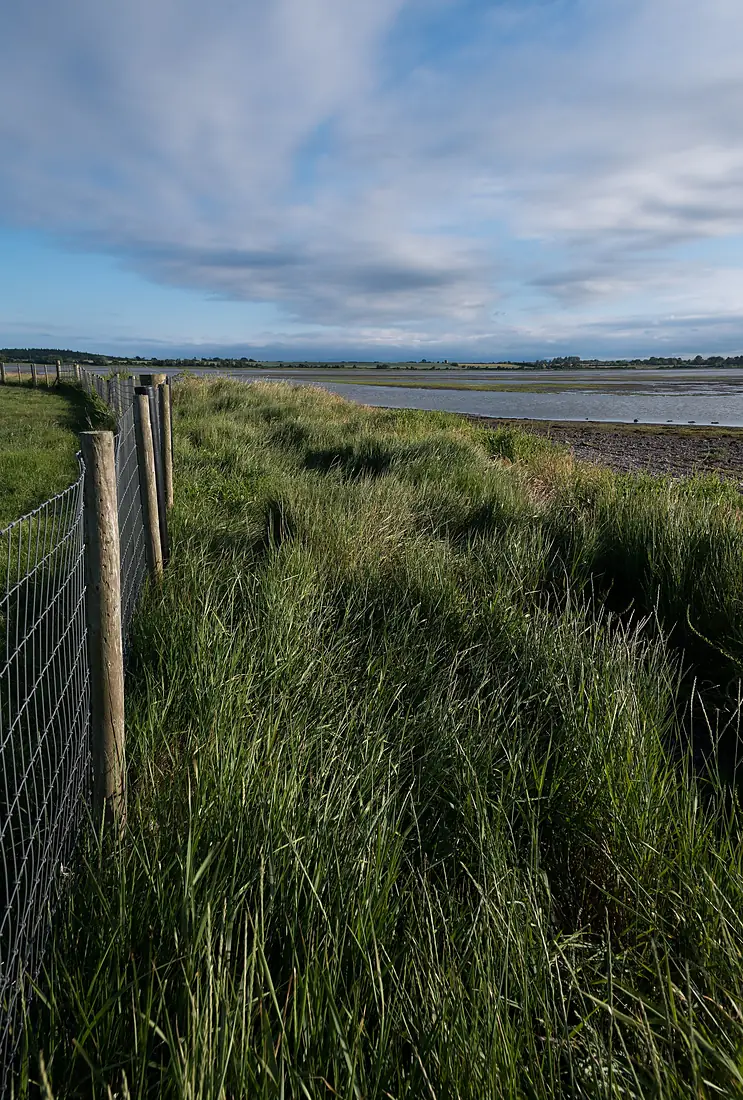 Rogerstown Estuary-3