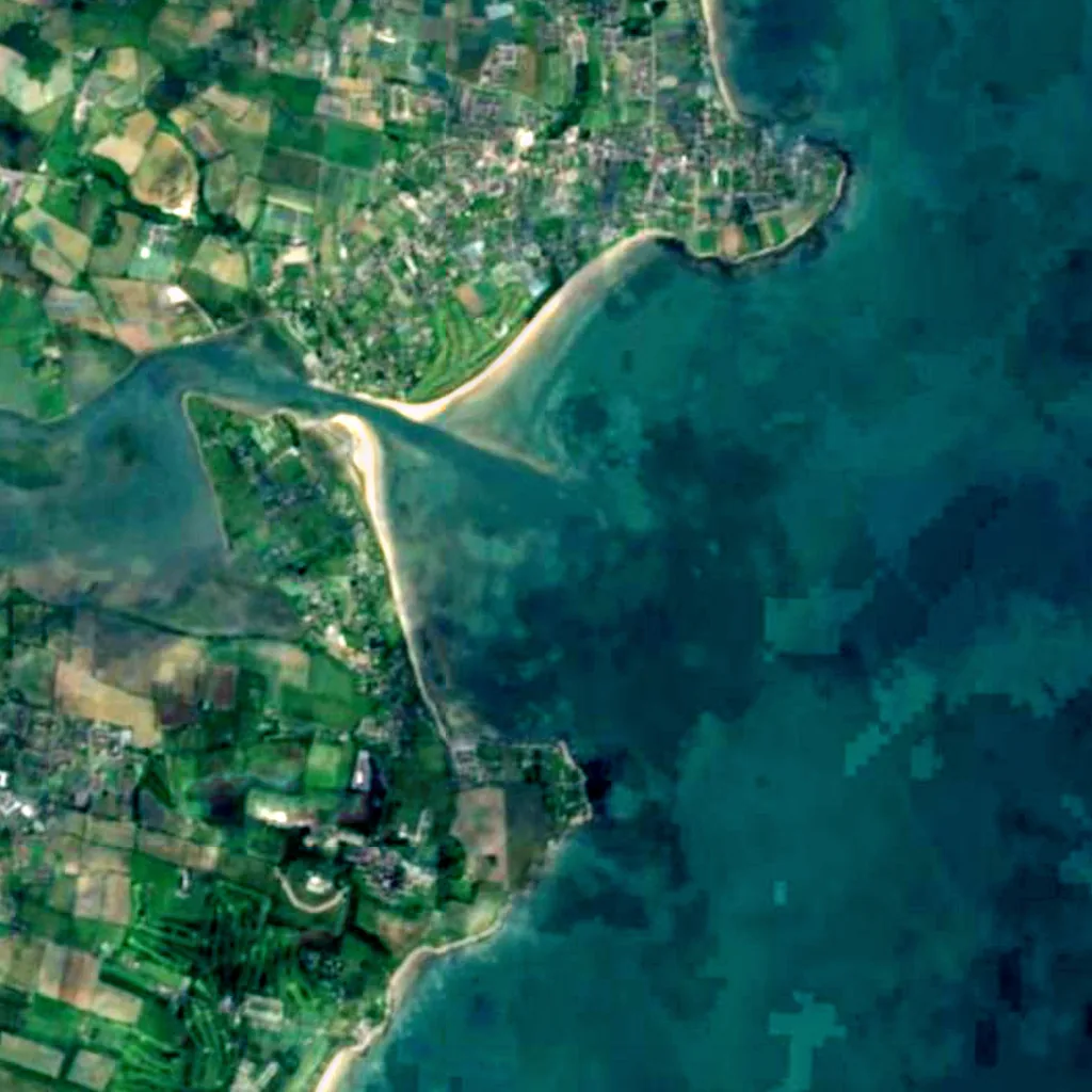Rogerstown Estuary seen from above (Sentinel-2)
