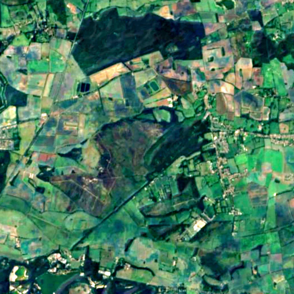 Roydon Common seen from above (Sentinel-2)