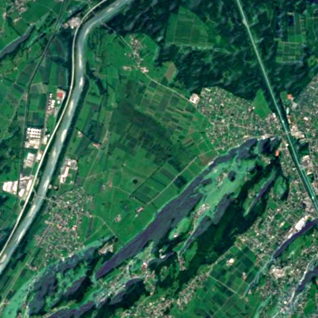 Ruggeller Riet von oben gesehen (Sentinel-2)