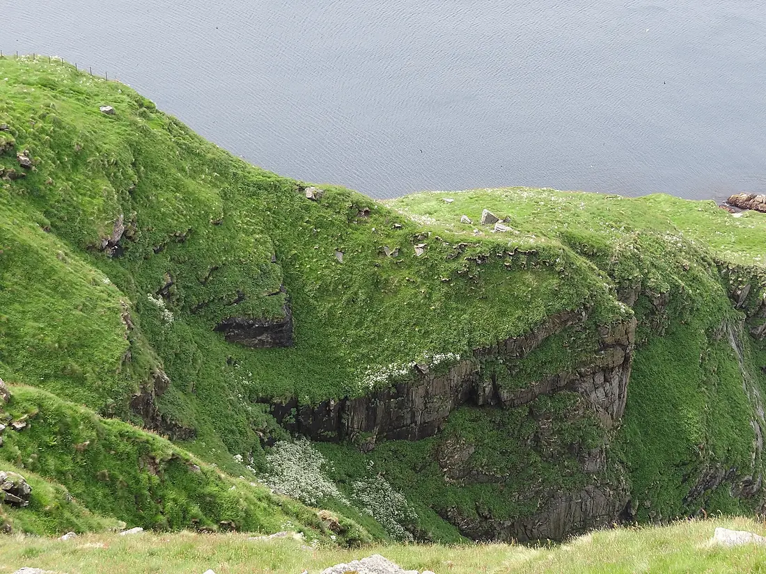 Fugleøya Runde 02