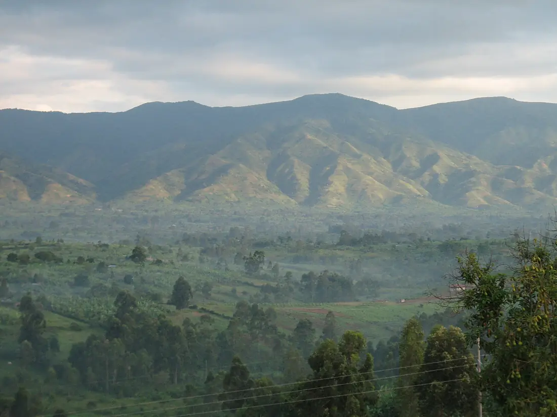 Rwenzori mountains FP