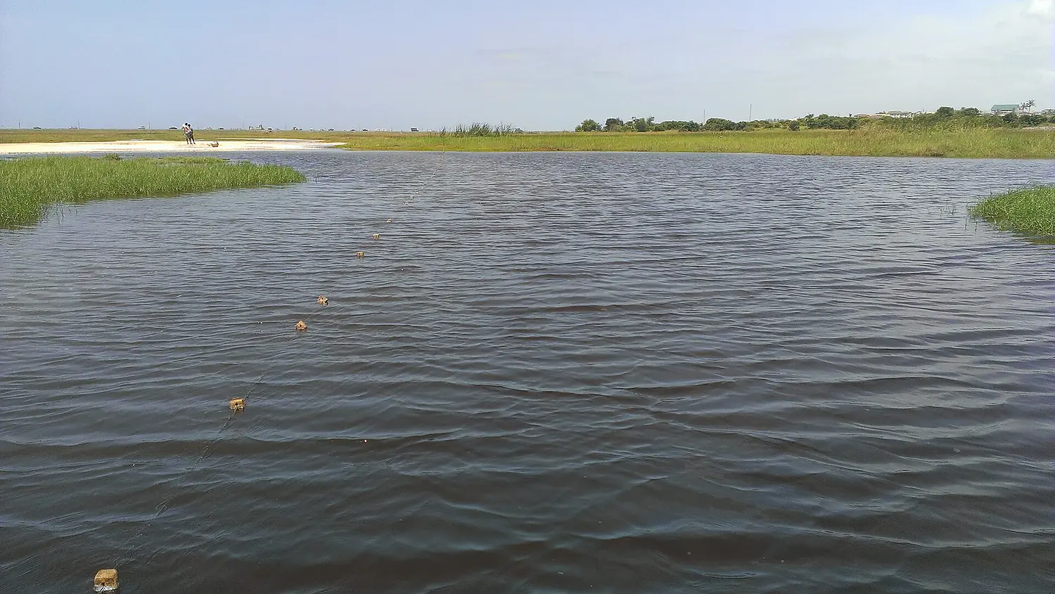 Nature Reservation site (RAMSAR SITE), Sakumono, Tema, Ghana 09