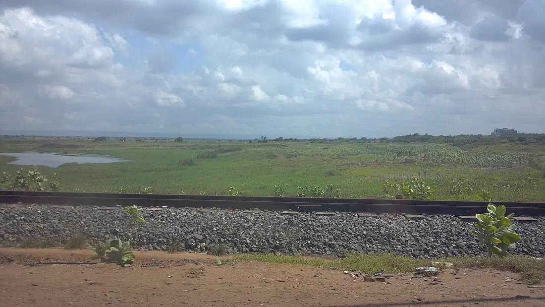 Sakumono Ramsar Site as seen from the Tema Beach Road. Pic. 1