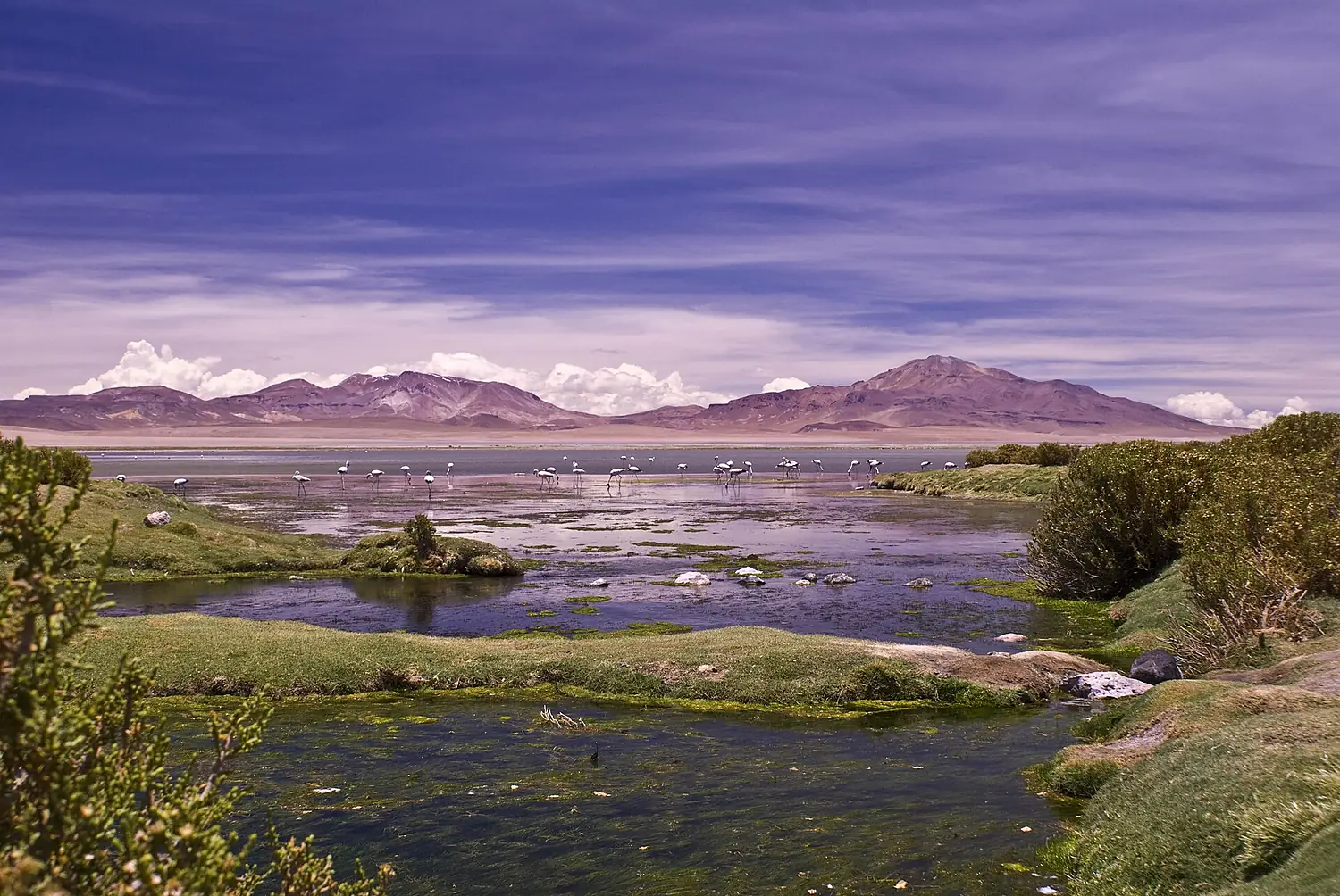 Salar de Tara by Carlos Urzua