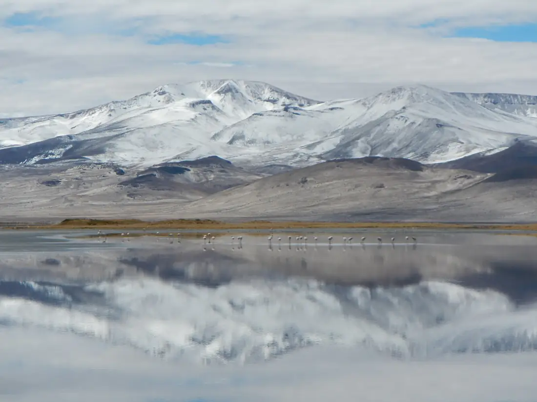 Salar del Huasco, Región de Tarapacá