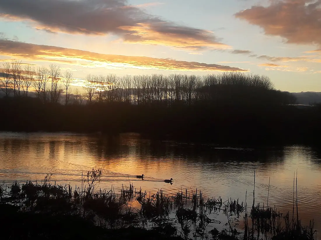 Amaneciendo en Salburua