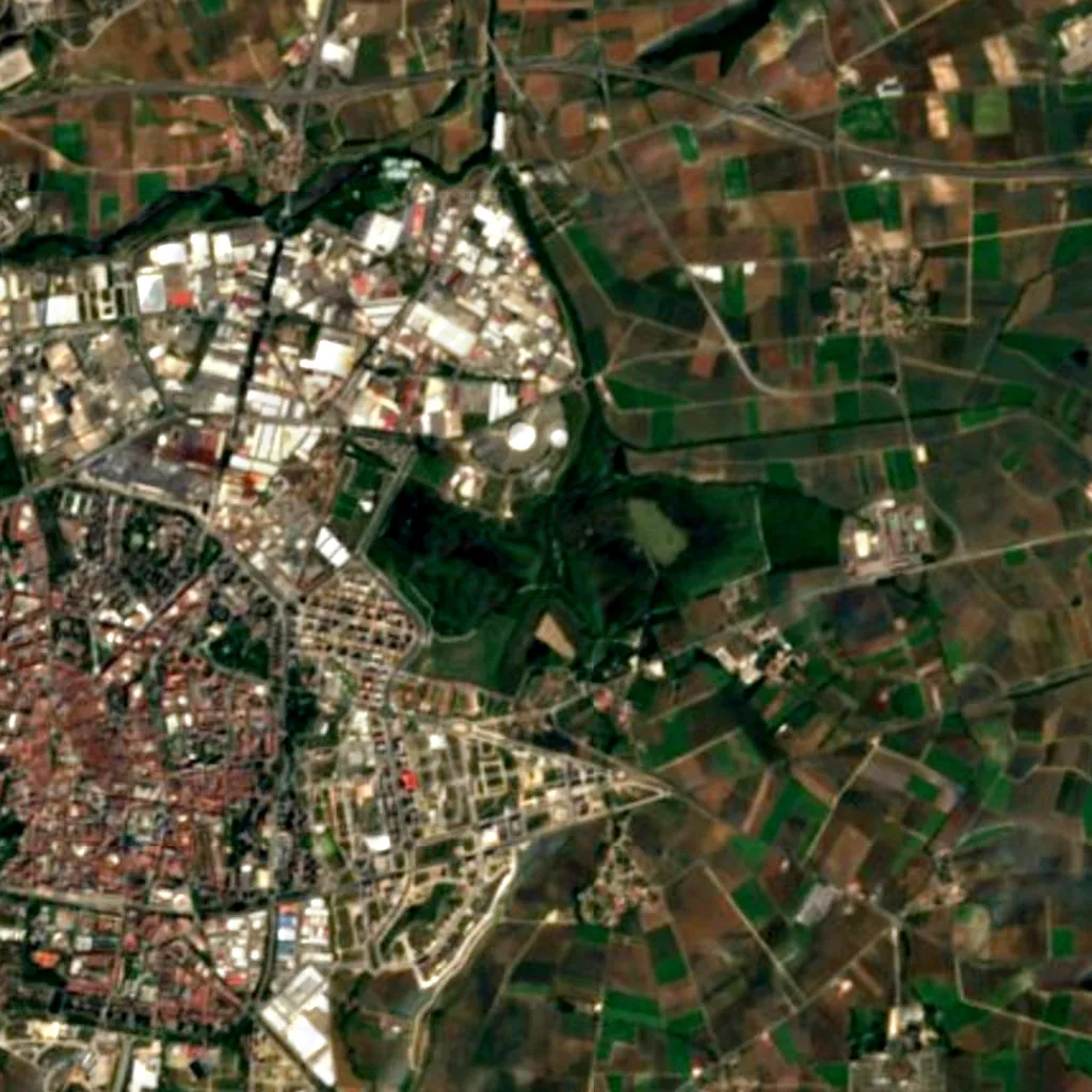 Salburua seen from above (Sentinel-2)
