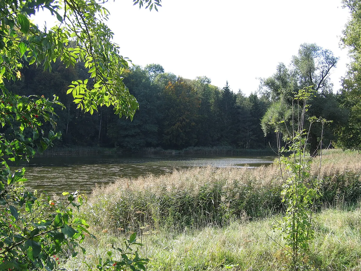 D-BW-Salem - Markgraefinweiher