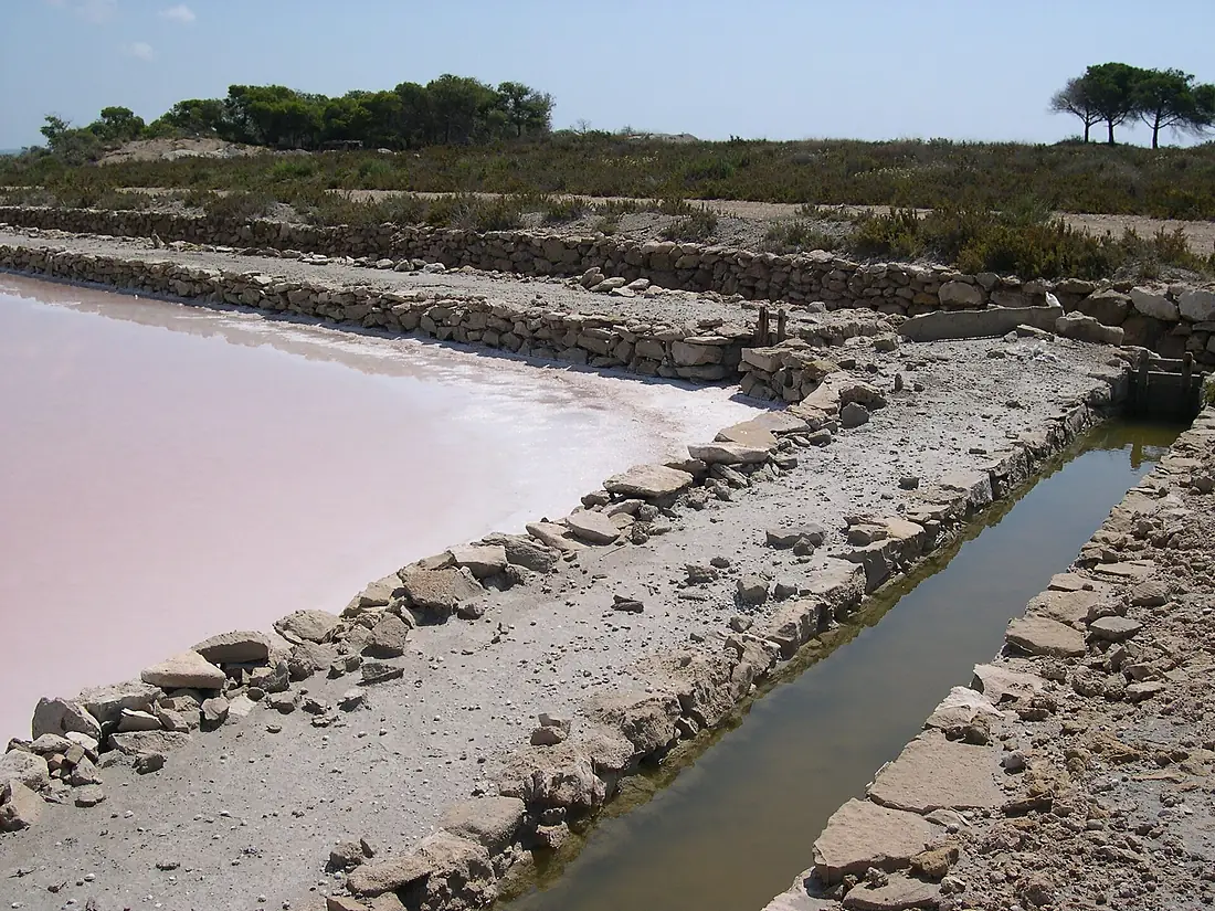 Gatzaga Sta Pola Alacant