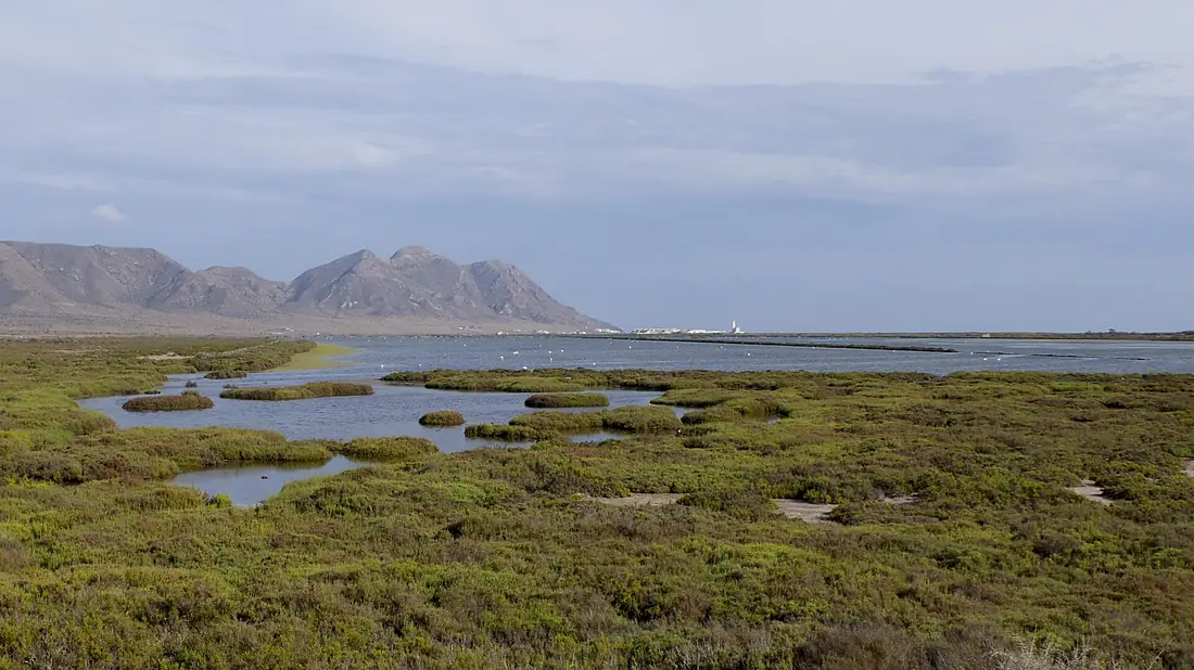 Cabo de Gata - las salinas de San Miguel (cropped)