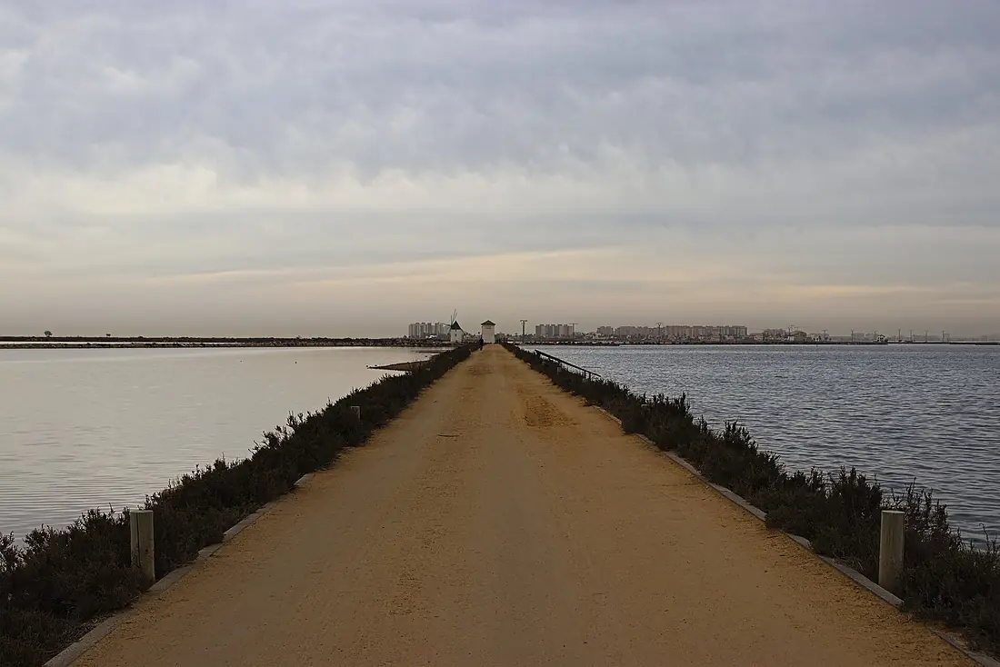 Camino Quintín entre las Salinas y Arenales de San Pedro del Pinatar y el Mar Menor