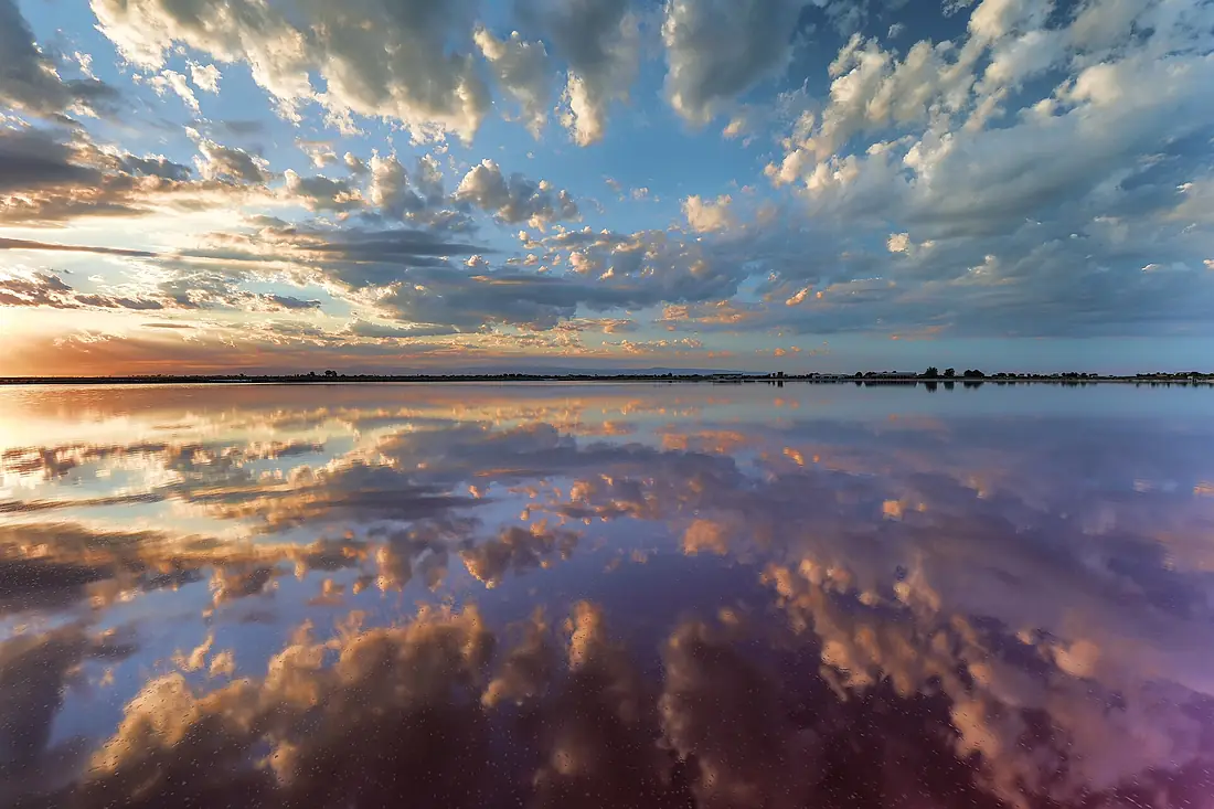 Riserva naturale Salina di Margherita di Savoia