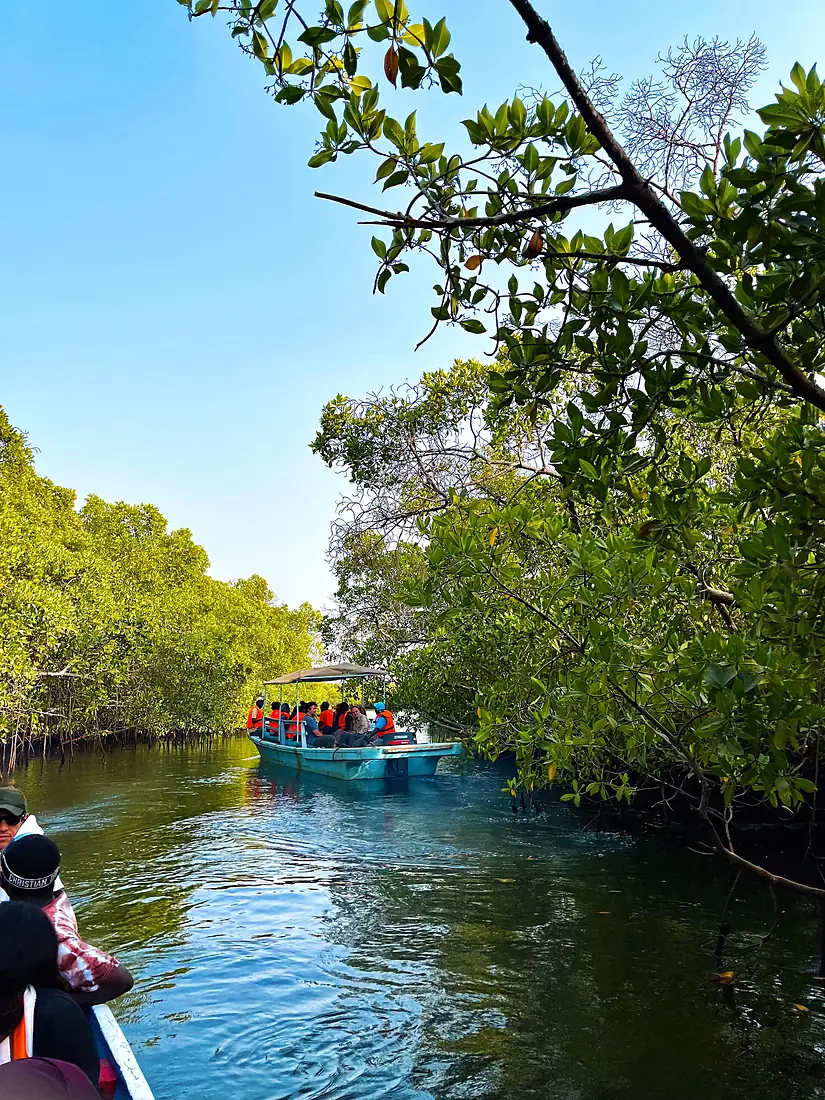 Delta du Saloum Sénégal, Février 2023 01