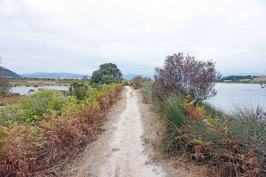 Parque Natural Marismas de Santoña 4
