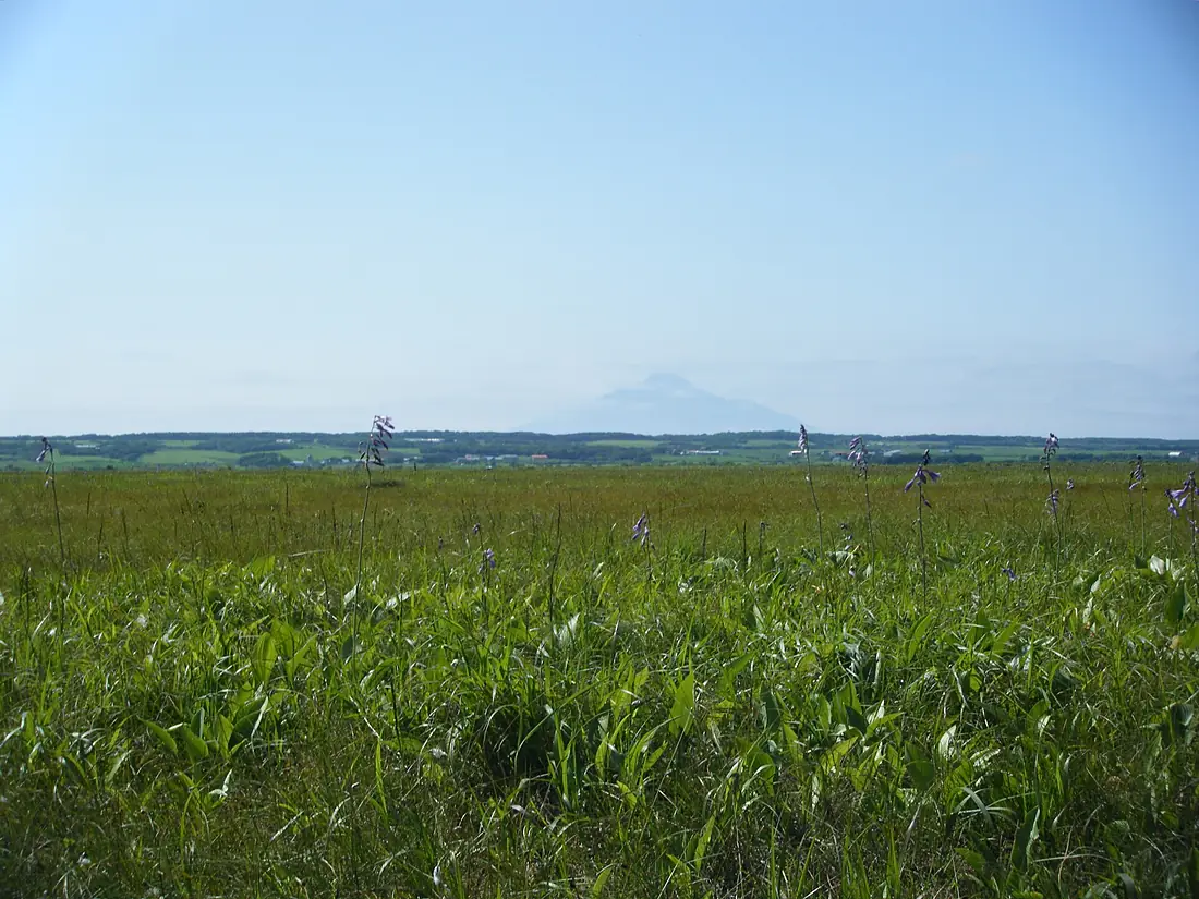 Hokkaido, Sarobetsu Plain